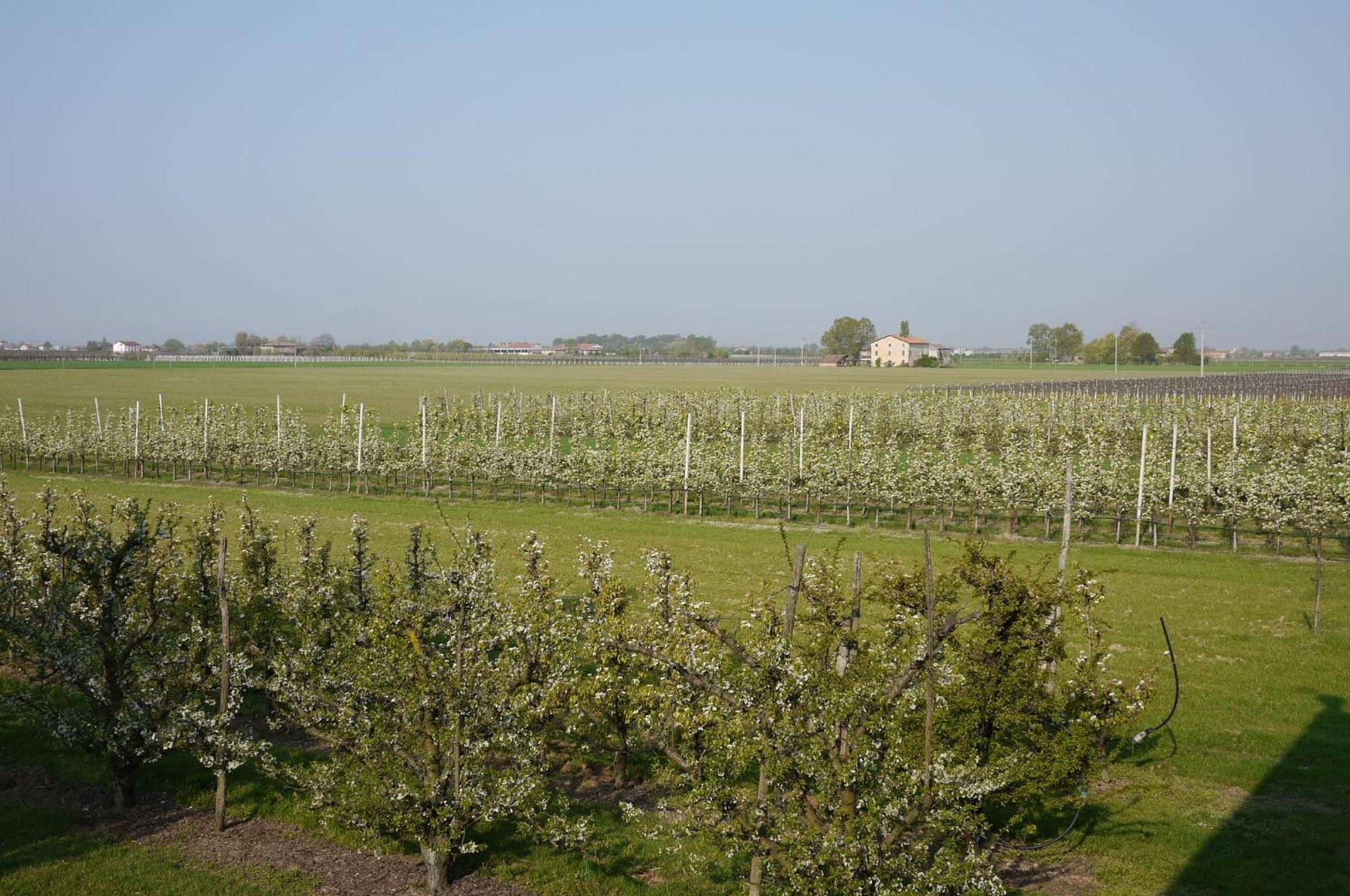 Agriturismo Mongiorgi "I Salici" Anzola dell'Emilia Exterior photo